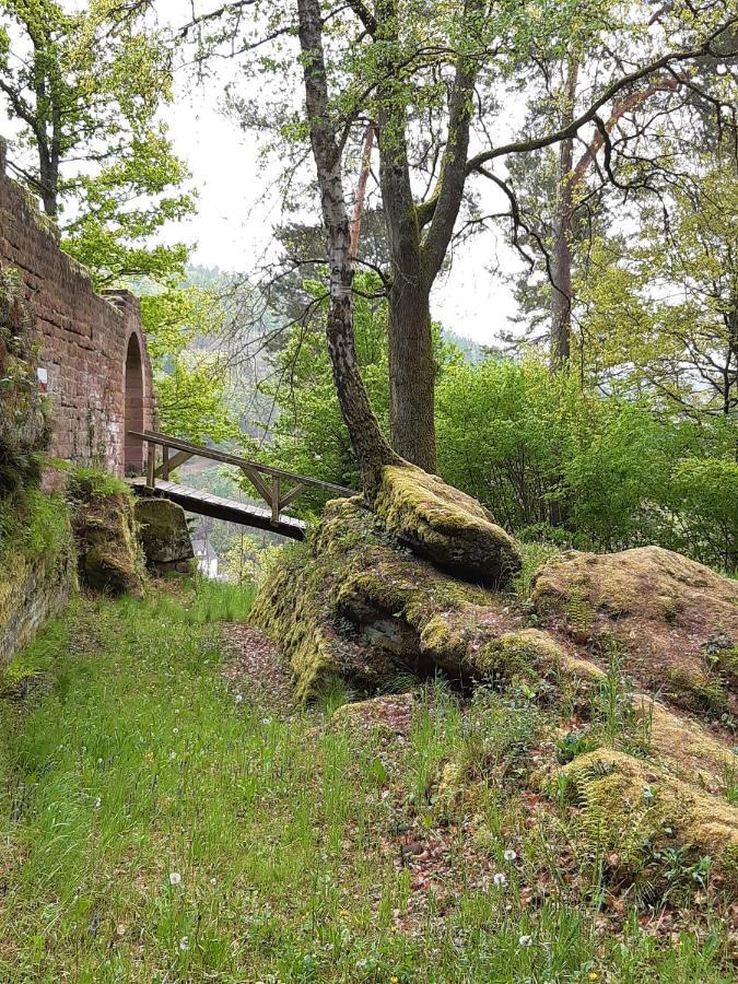 Fewo Jule Thaleischweiler-Froschen Exterior foto